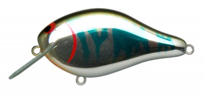 Shaker color 001