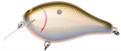 Shaker color alabama shad