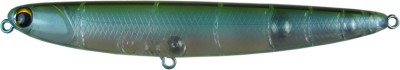 Skimmer color ghost minnow