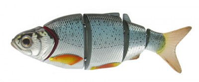 Shad Alive color 01