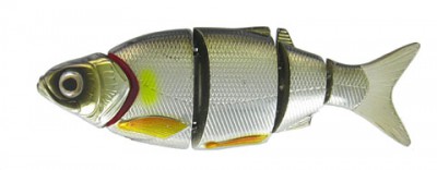 Shad Alive color 05