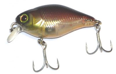 Chubby color bronze green