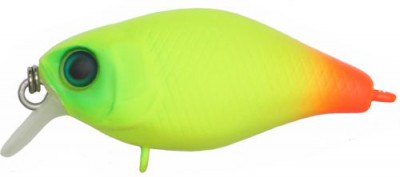Chubby color chartreuse orange