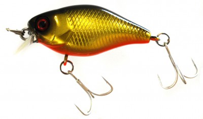Chubby color gold black