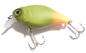 Chubby color green pallet orange