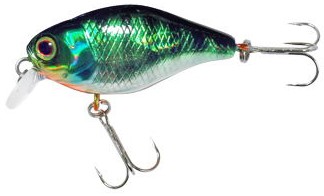 Chubby color hl blue gill