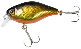 Chubby color hl gold & black