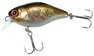 Chubby color hl shad