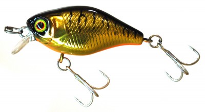 Chubby color hl shinning tiger