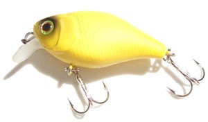 Chubby color karashi