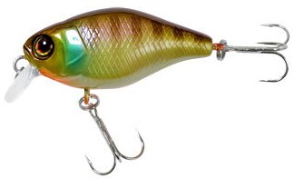 Chubby color noike gill