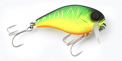 Chubby SSR color mat tiger