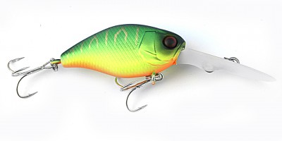 DD Chubby color mat tiger