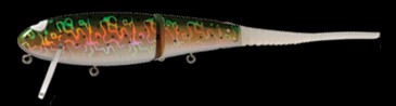 Flat Bone Clicker color hl rainbow trout