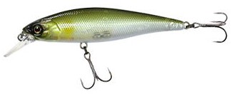 Squad Minnow color ghost ayu