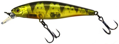 Squad Minnow color ghost g perch