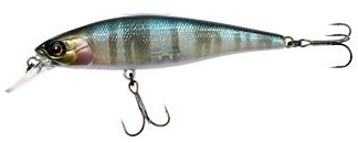 Squad Minnow color hasu