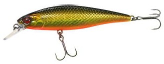 Squad Minnow color hl gold & black