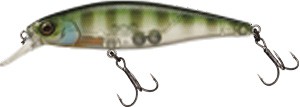 Squad Minnow color skeleton gill