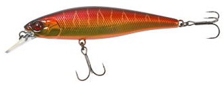 Squad Minnow color spone tiger