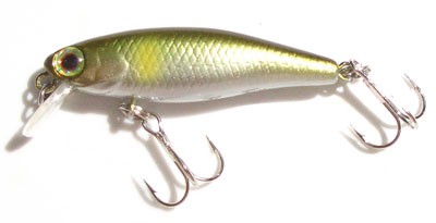 Tiny Fry color AYU
