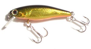 Tiny Fry color hl gold & black