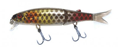 Tiny Magallon color black piraruku