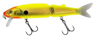 Tiny Magallon color gold & chart