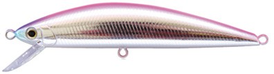 Pin Tail Tune color CP