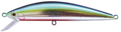 Pin Tail Tune color OB