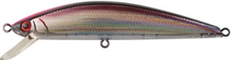 Pin Tail Tune color SKI
