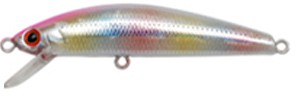 Pin Tail Tune color URB