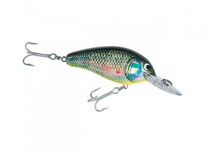 Flat Crank color 144