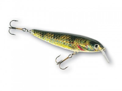 SH Minnow color O