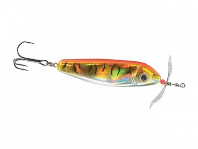 Turbo Fish color D