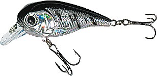 XTR-I Little color B