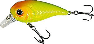 XTR-I Little color C