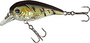 XTR-I Little color D