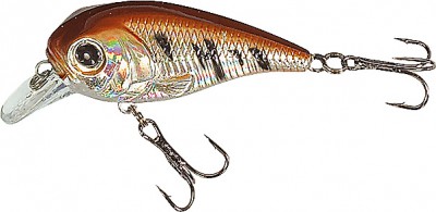 XTR-I Little color E