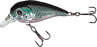 XTR-I Little color F