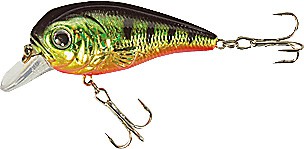 XTR-I Little color G