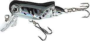 XTR-M Hooper color A