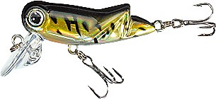 XTR-M Hooper color D