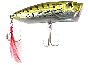 Buble Popper color 516