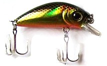 KF Minnow color 003