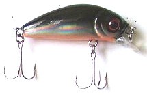 KF Minnow color 013