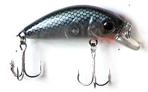 KF Minnow color 091