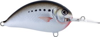 Ritmo Deep Runner color AS