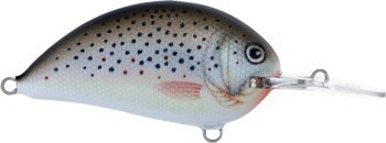 Ritmo Deep Runner color BT