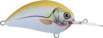 Ritmo Five color GDA